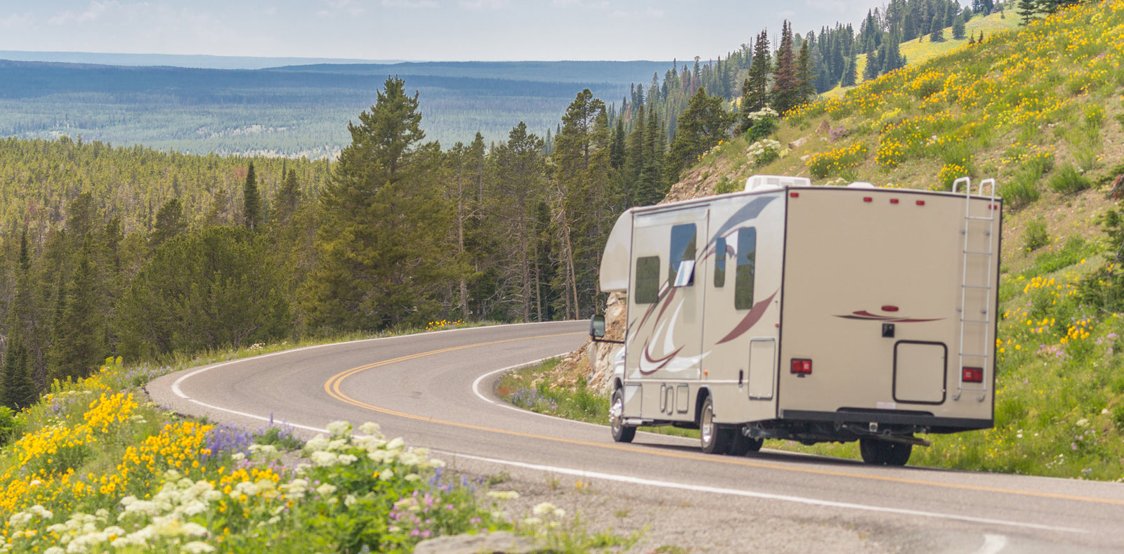 RV traveling on a winding mountain road with wildflowers.