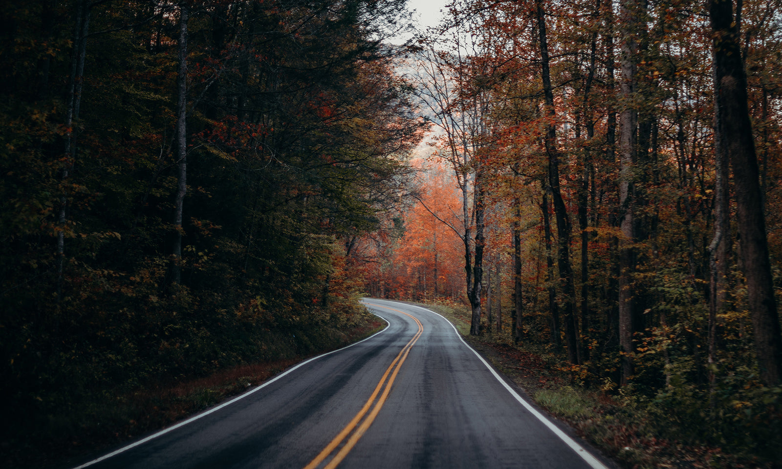 The Fire Pit Blog by Unique Camping + Marine Places to eat and recipes to make inspired by the blue ridge mountains.