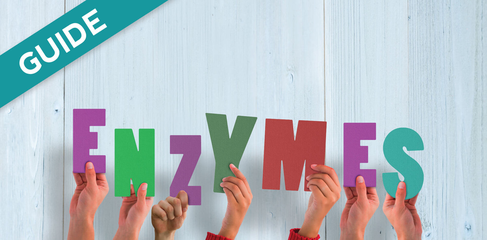 How Do Enzyme Holding Tank Treatments Work in RVs?