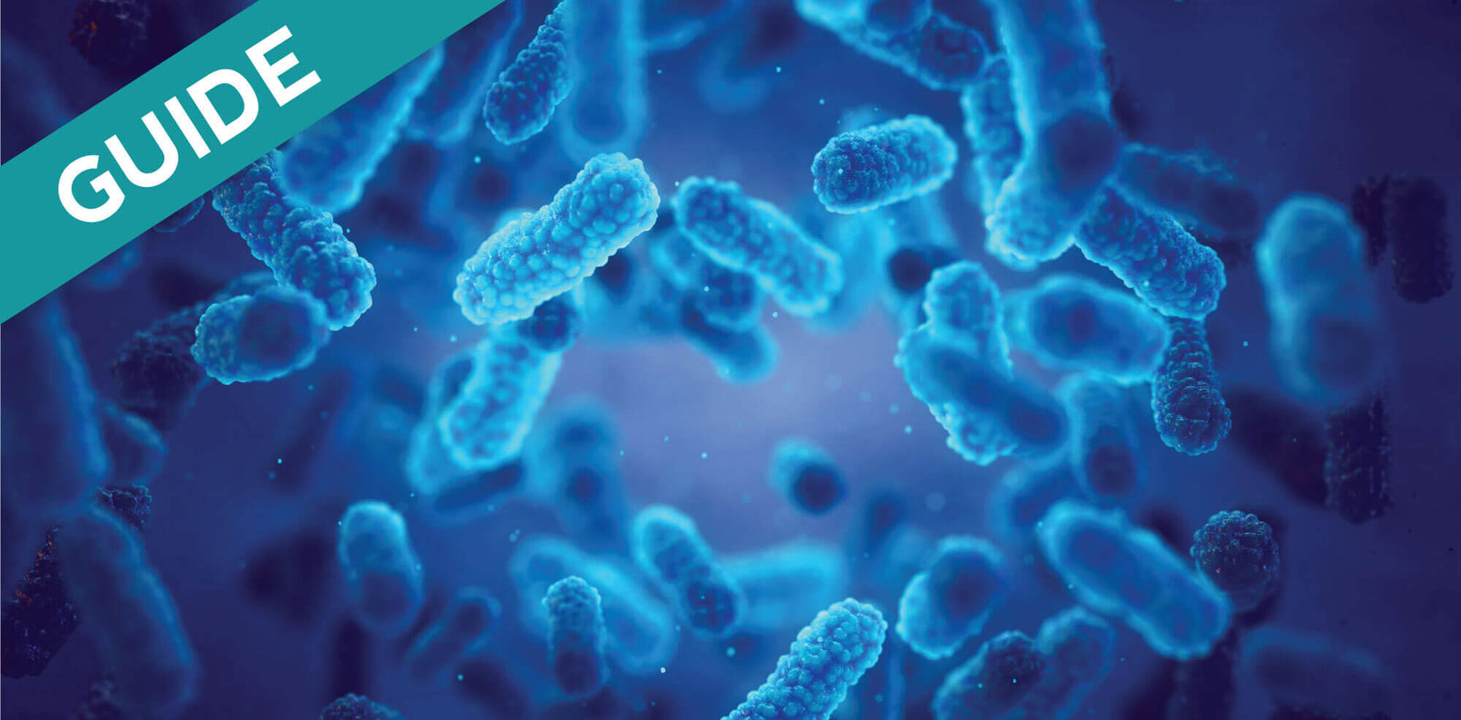 Why are bacteria and enzymes good for your RV holding tanks? A Unique Camping + Marine Guides